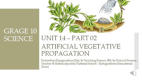 Artificial Vegetative Propagation - Grade 10 Science (Unit 14 -  Continuity of life - part 2 )