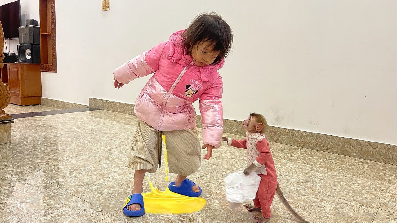 Monkey annie ran to get diapers when she saw Bao Anh peeing in his pants