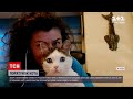 Новини світу: у Греції ветеринари встановили коту лапи-протези