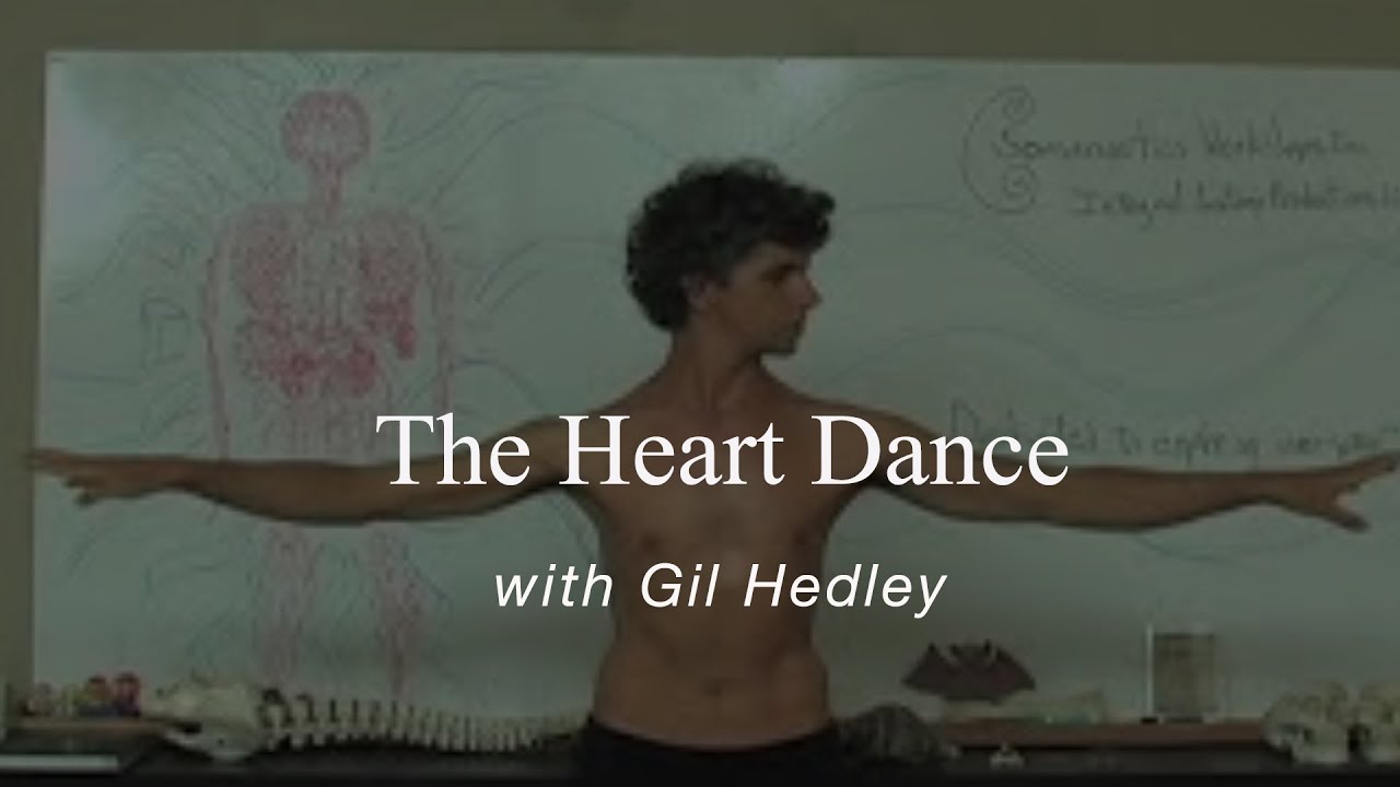 The Heart Dance Learn Integral Anatomy with Gil Hedley YouTube