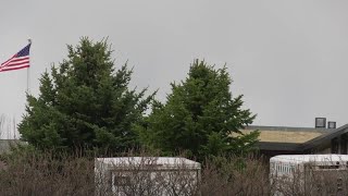 MSU awarded Tree Campus award ahead of Arbor Day