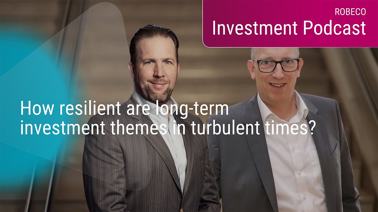 How resilient are long-term investment themes in turbulent times?