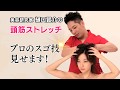 美容研究家　樋口賢介　プロのスゴ技 頭筋ストレッチ紹介