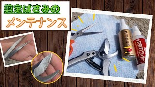 【新品⁉】剪定ばさみのメンテナンス！！