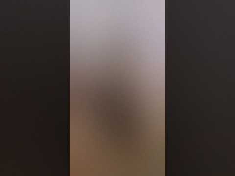 رقص منزلي فاجر اخر اللليل سوالف منقبات في بيت دعارة 01