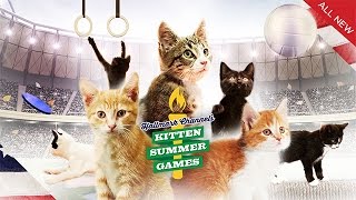 Kitten Summer Games – Kitten Adoption – Hallmark Channel by Kitten Bowl 1,095 views 7 years ago 1 minute, 37 seconds