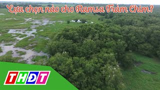 Lựa chọn nào cho Ramsar Tràm Chim? | THDT