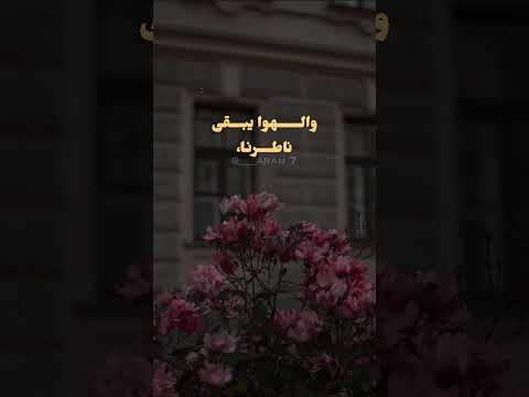 شو كانت حلوة الليالي حالات واتس فيروز