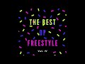 Dance the night away! The Freestyle File Vol. IV (80s/90s music)