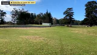 Puketutu Island Farm Checking Newborn Lambs