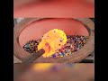 صناعة الزجاج Glass Industry 