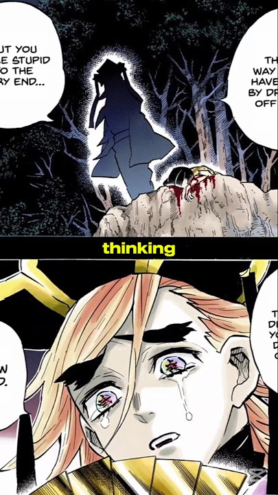 Inosuke's Mother FlashBck With Doma | Demon Slayer Infinity Castle Arc | Chapter 160 [Spoiler alert]