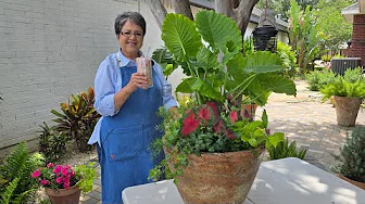 Making a Plant Container//Strawberry Horchata Drink ❤️❤️