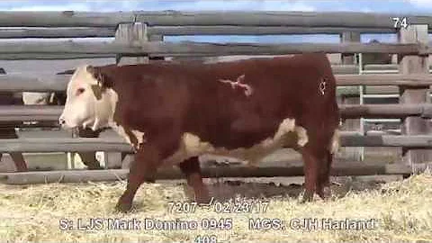 Lot 74 ~ H5 0945 Domino 7207 ET