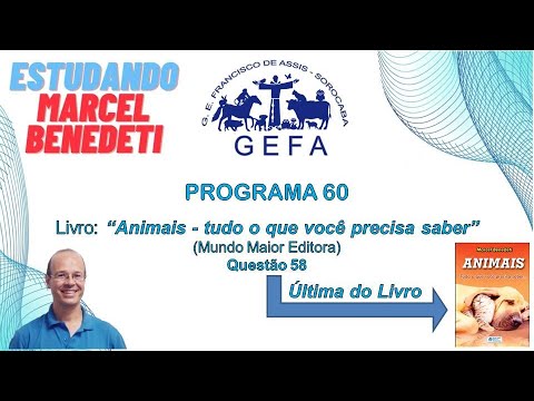 Assista: Estudando Marcel Benedeti - Programa 60 (19/08/2025)