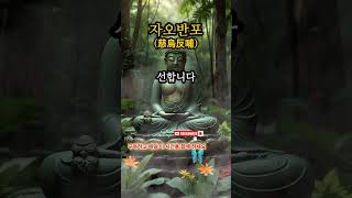 자오반포ㅣ부모님 생각나는 하루 #명상 #심리치유 #감정정화 #불교 #shorts