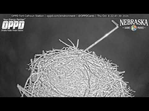 Fort Calhoun Station Osprey Watch — webcam en direct (États-Unis)