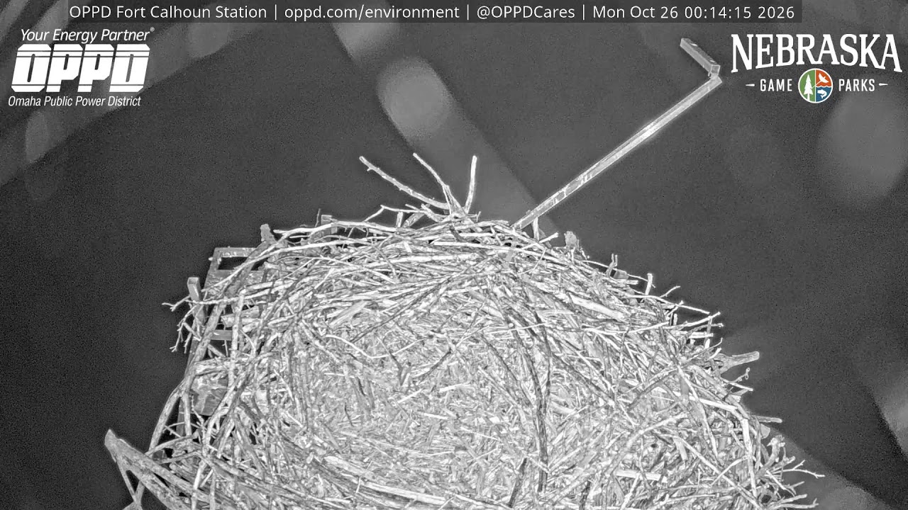 Fort Calhoun Station Osprey Nest Live — Blair, NE live camera thumbnail