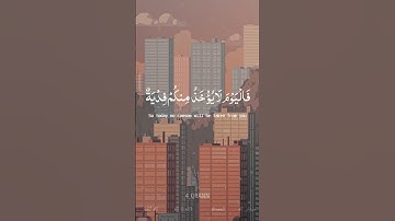 سورة الحديد الآيتين 14 و 15 l تلاوة القارئ بيشةوا قادر الكردي