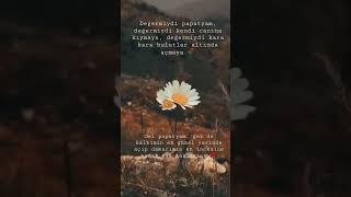 Kara Duman Bizi Öldürür Papatyam, Gelse Gülüşünü Kalbimin Derinliklerin Den Çıkan Su Gibi Aydınlat 🌹