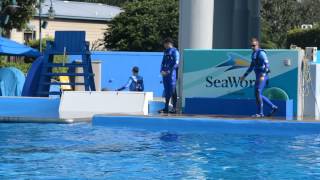 Dine With Shamu