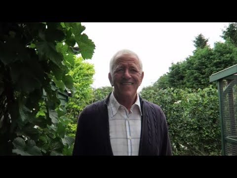 castle hill gardens doctors torrington Castle Hill Garden Summer Pruning Fruit Trees.