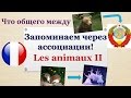 Урок#114: Учим животных по ассоциациям (II). Лексика. Французский язык