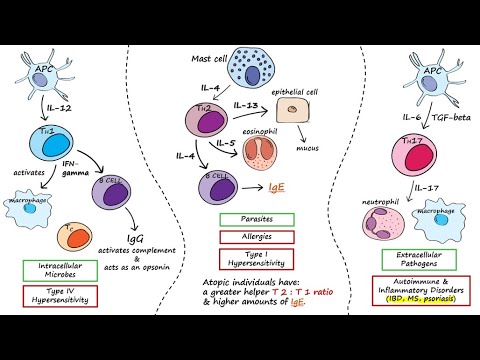 Video: Ekspresi PD-L1 Adalah Biomarker Prediktif Untuk Imunoterapi Berbasis Sel CIK Pada Pasien Pasca Operasi Dengan Kanker Payudara