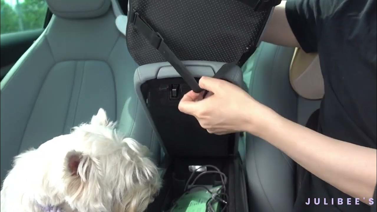 Julibee's Console Dog Car Seat Installation Guide How to install a