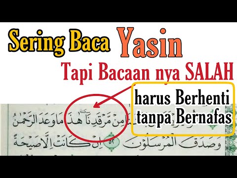 Yasin Ayat 51 52