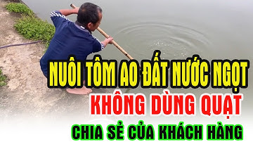 NUÔI TÔM AO ĐẤT NƯỚC NGỌT THÀNH CÔNG TẠI THANH HÓA | Trần Quang Huy Official