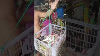 Mga Nagbibisugo Umuwi Na Sila