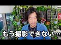 一週間引きこもって会社に行けてません　【園芸超人カーメン君】