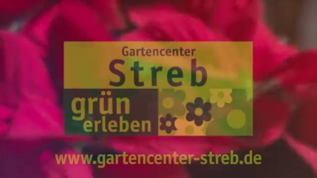 Gartencenter Streb