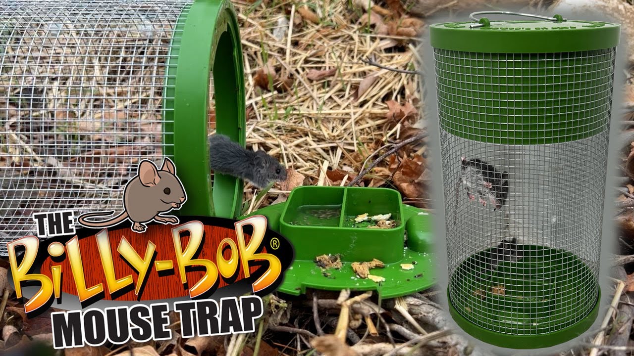 Billy Bob Mouse Trap: Humane Multi-Catch Mouse Trap!, 1 set - Harris Teeter