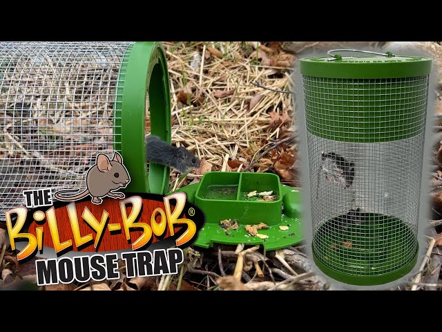 Billy-Bob™ Mouse Trap: Humane Multi-Catch Mouse Trap!