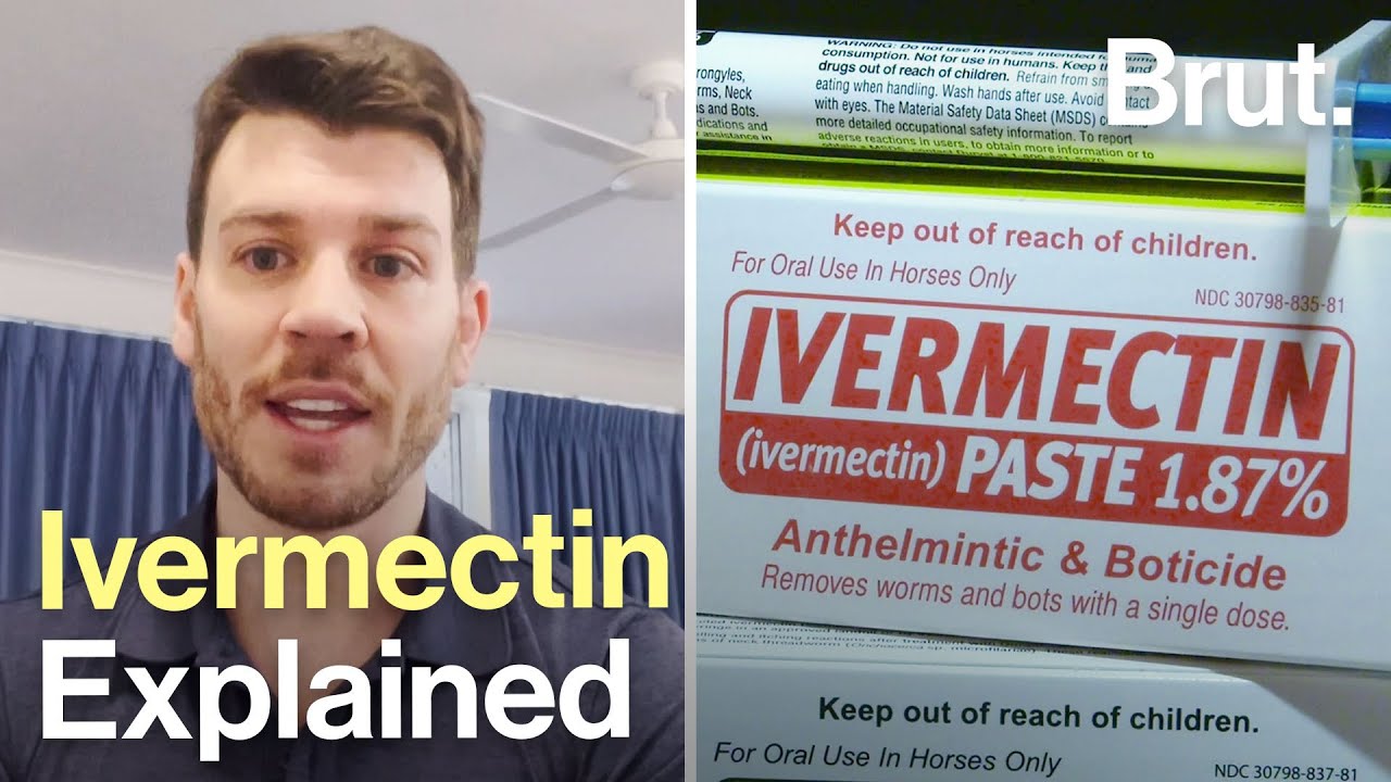 What is Ivermectin?