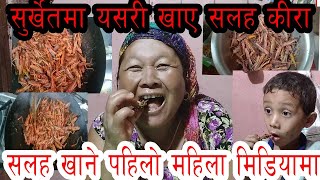 सलह किरा खादै सुर्खेतमा. Salaha eating in Nepal. Ganesh KC. How to cook salaha insect.