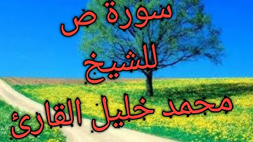 سورة ص للشيخ محمد خليل القارئ