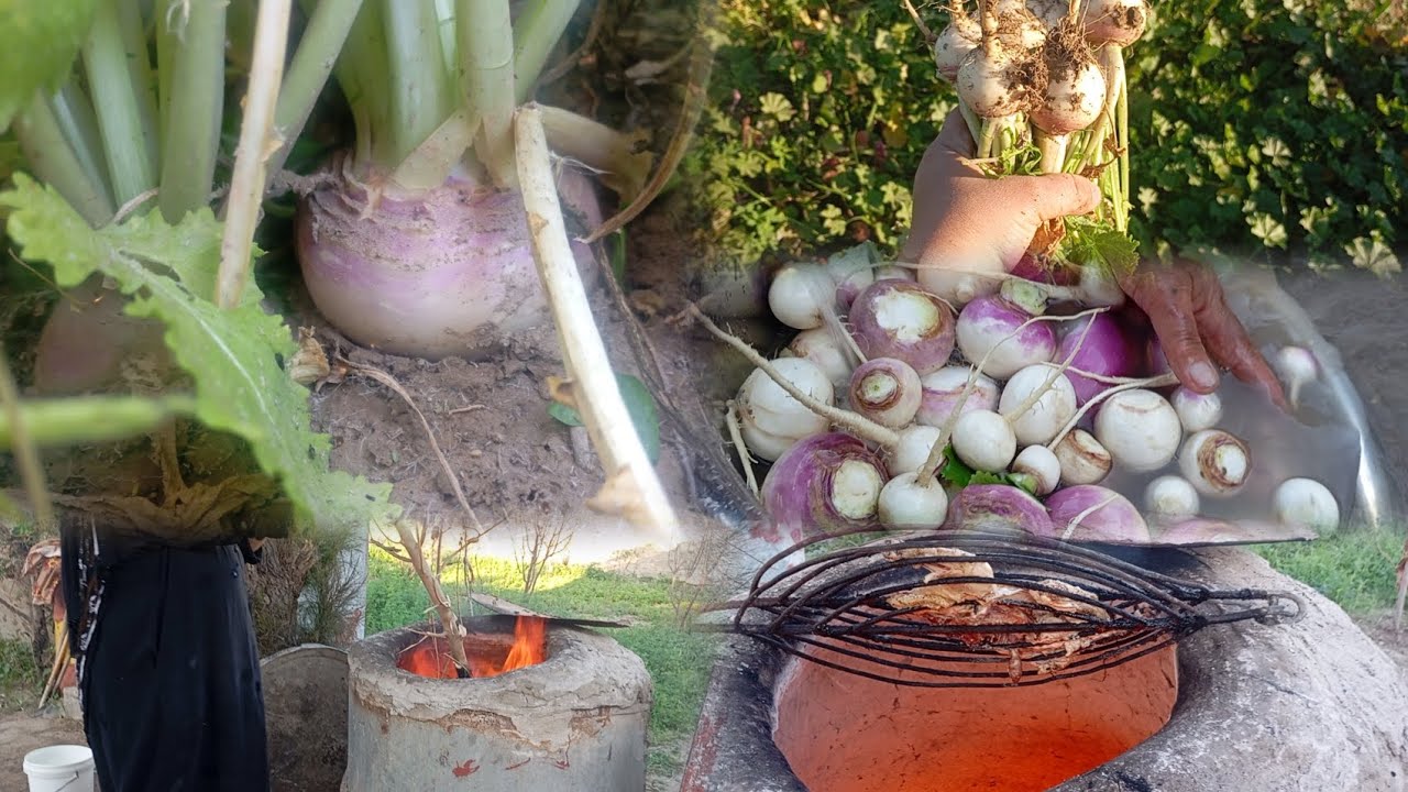 عمتي كالتالي اليوم اني اسوي فطور #وانتي احصدي شلغم 🪬👍🇮🇶