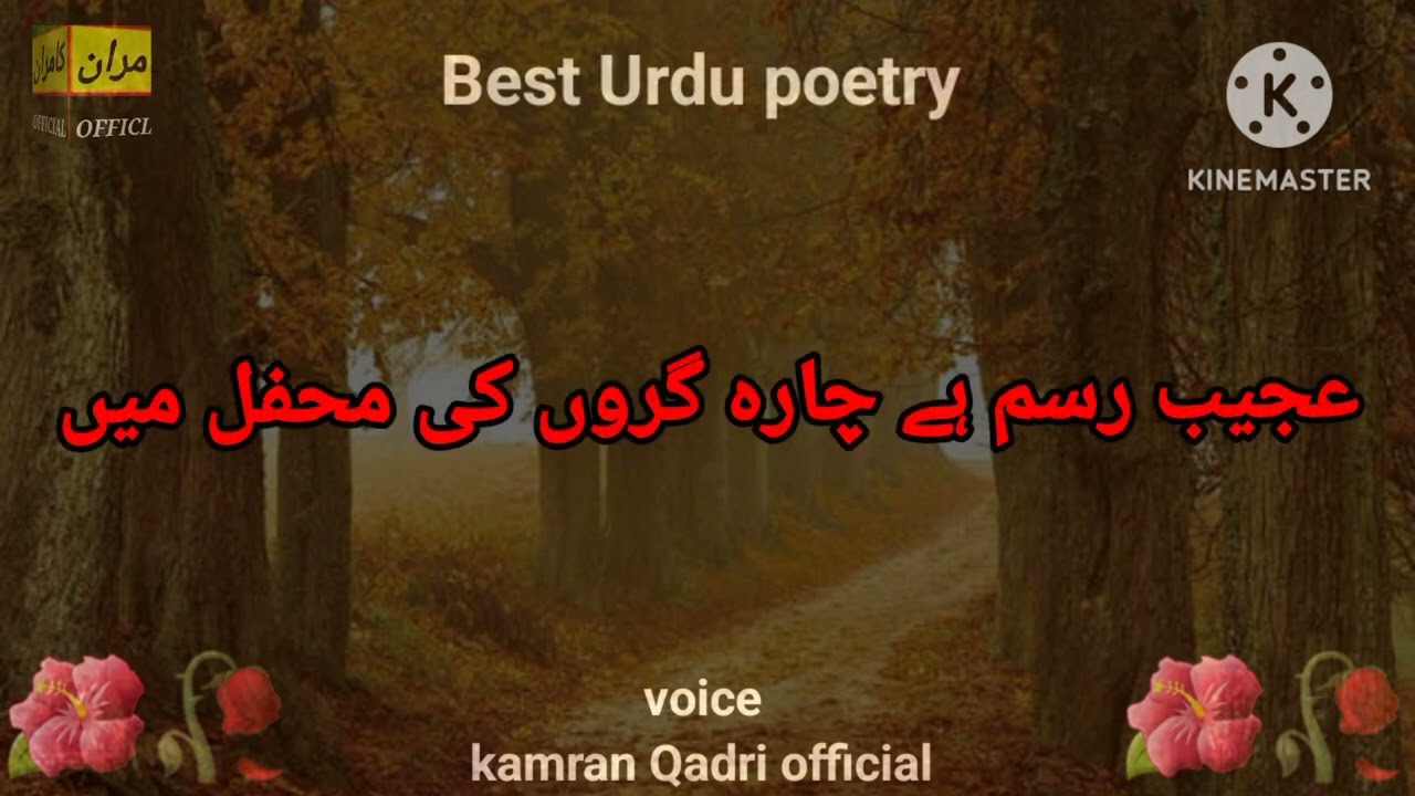 Feel the true line 🥲 urdu sad shayari | inqilabi poetry | revolution shayari | siyasi poetry |