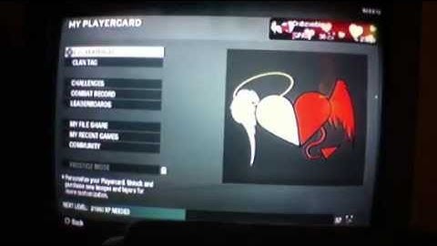 Black Ops Emblem- Good Evil Heart