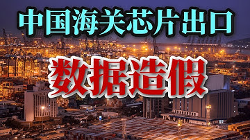 被中国海关总署搞大的“1600亿美元芯片出口” ┃稀土进口大于出口是怎么回事？