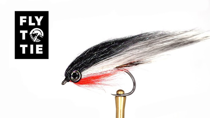 Fly tying Steve baitfish Seatrout saltwater fly (Step-by-step tutorial) 