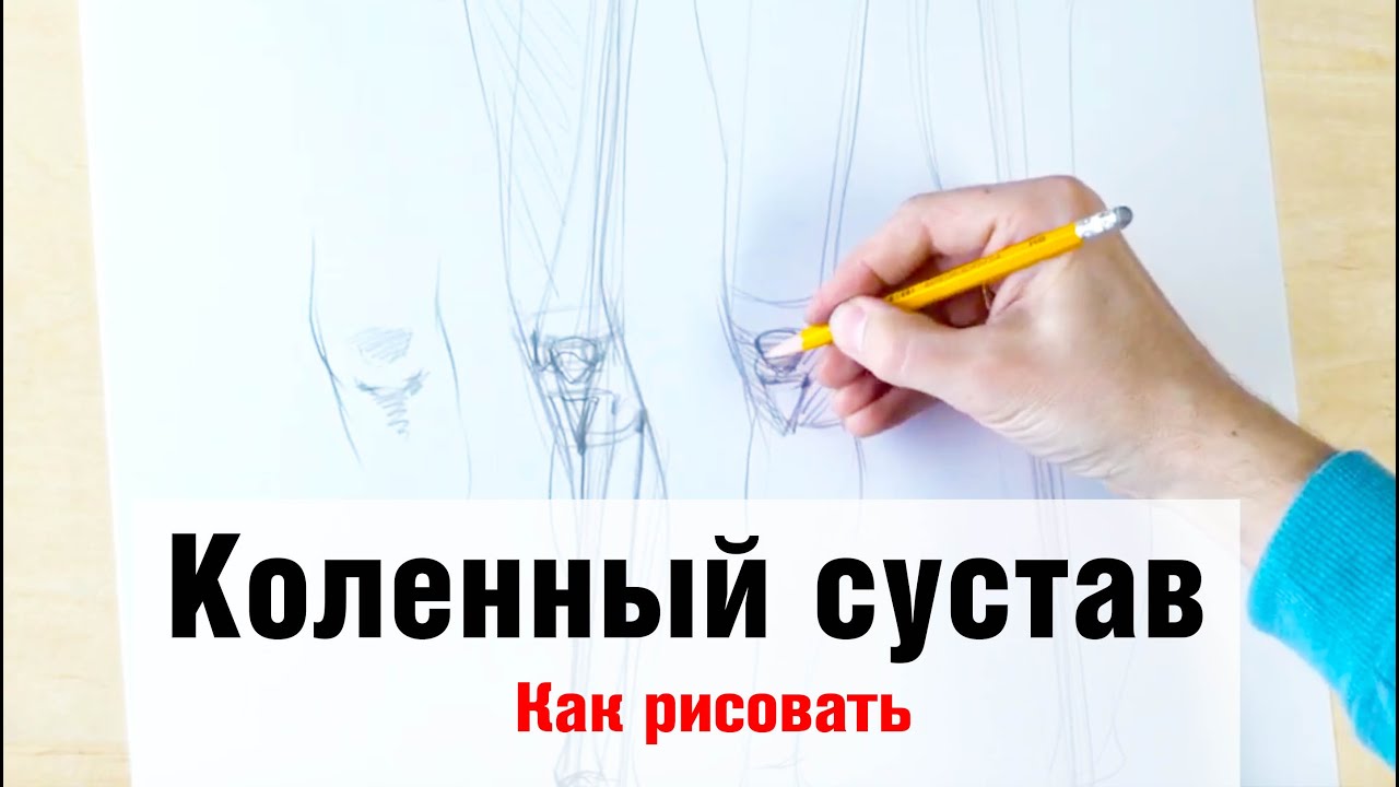 Как рисовать "Коленный сустав" - А. Рыжкин