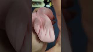 ASMR สกุชชี่มูสเค้ก ไอติมเค้ก #สกุชชี่ #มูสเค้ก #ASMR #ของเล่น #เพื่อนซี้ตัวแสบ #555INFINITY