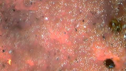 Dust Particles under the Microscope. http://www.dustwatch.com