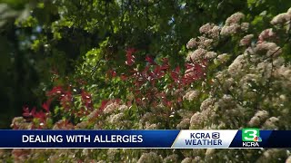 Achoo! Here’s how you can cope with allergy season