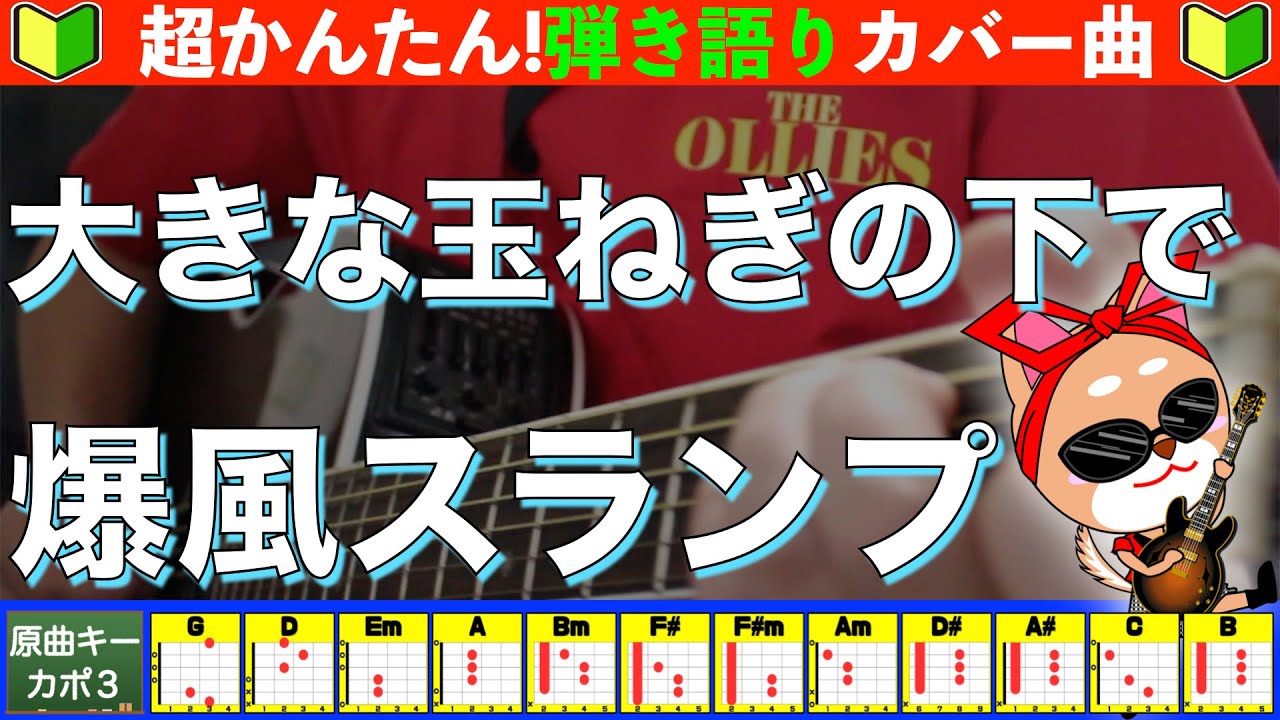 🔰【コード付き】大きな玉ねぎの下で / 爆風スランプ 弾き語り ギター