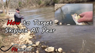 How to Target Skipjack All Year Long